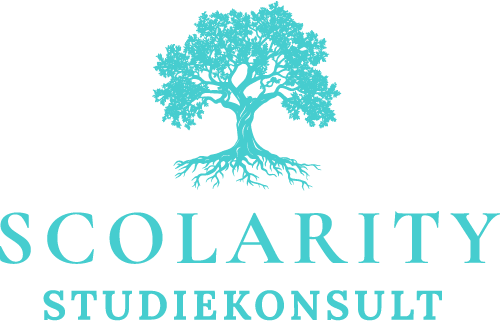 Scolarity studiekonsult logo